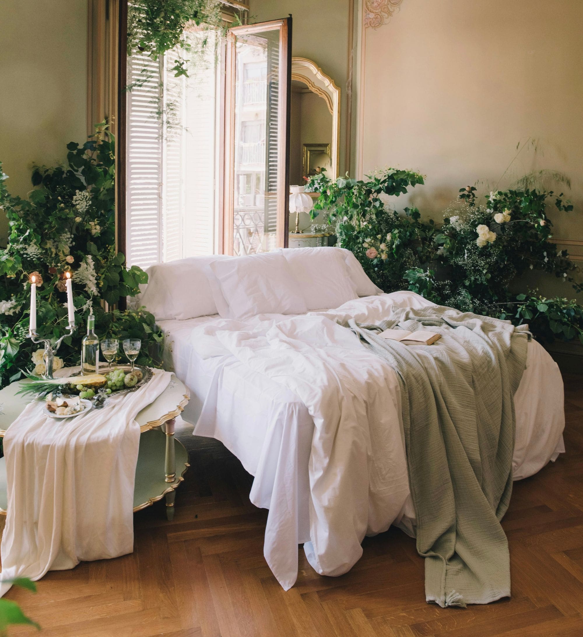 Guide pour ses plantes de chambre : choisir et entretenir - Kipli