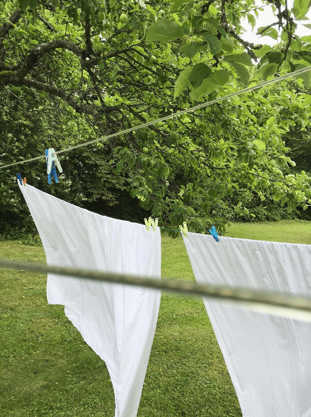 Lenzuola bianche di cotone che si asciugano all’aria aperta in un giardino rigoglioso, a illustrare un metodo naturale ed ecologico per la cura della biancheria per la casa.