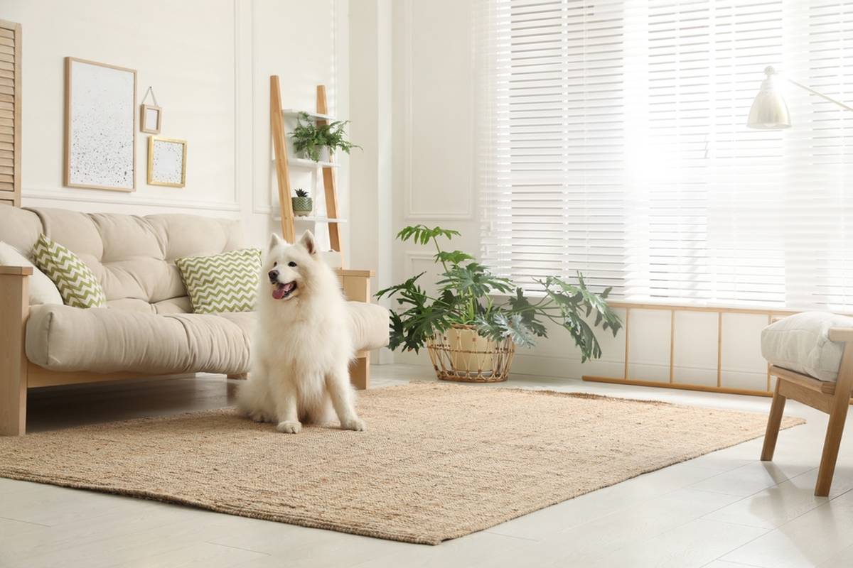 Quels sont les avantages d'un tapis en jute ? - Kipli