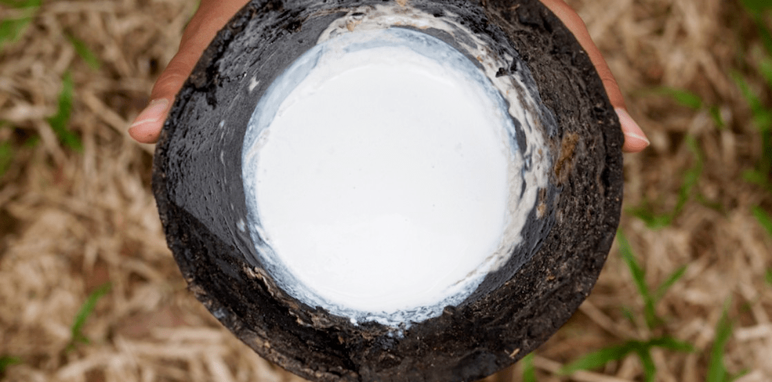 Was ist Naturlatex und wodurch zeichnet er sich aus?