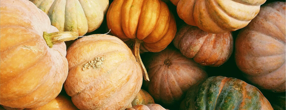 Le 5 notizie ecologiche del mese di ottobre