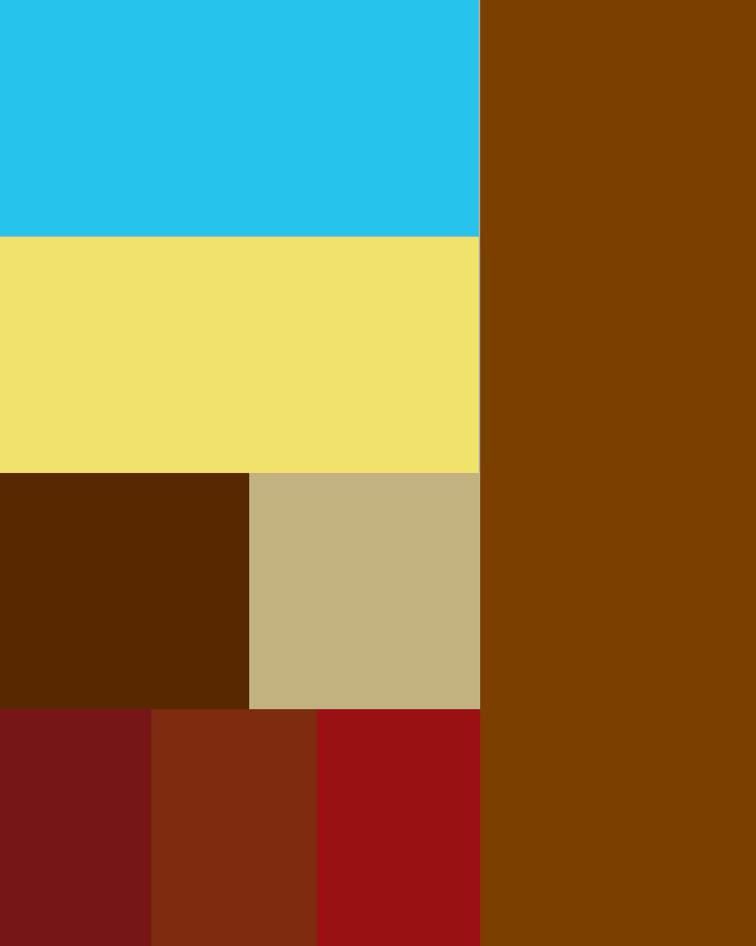 Les couleurs tendances 2025 pour sublimer votre décoration
