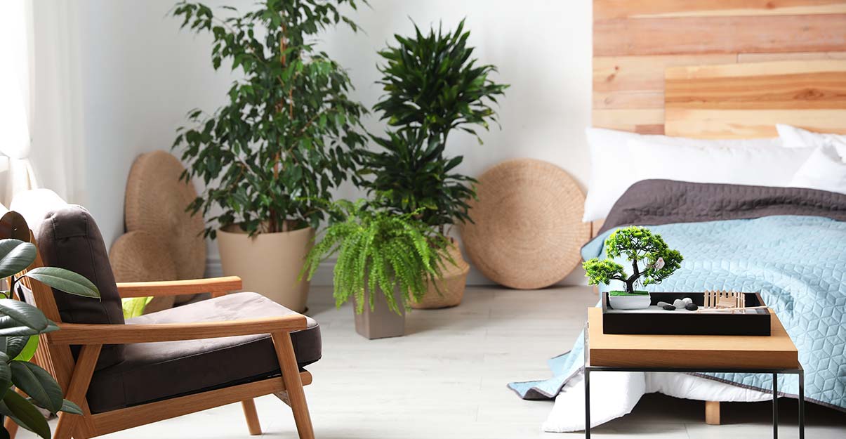 Qu'est-ce qu'un lit zen et comment bien le choisir ? - Kipli