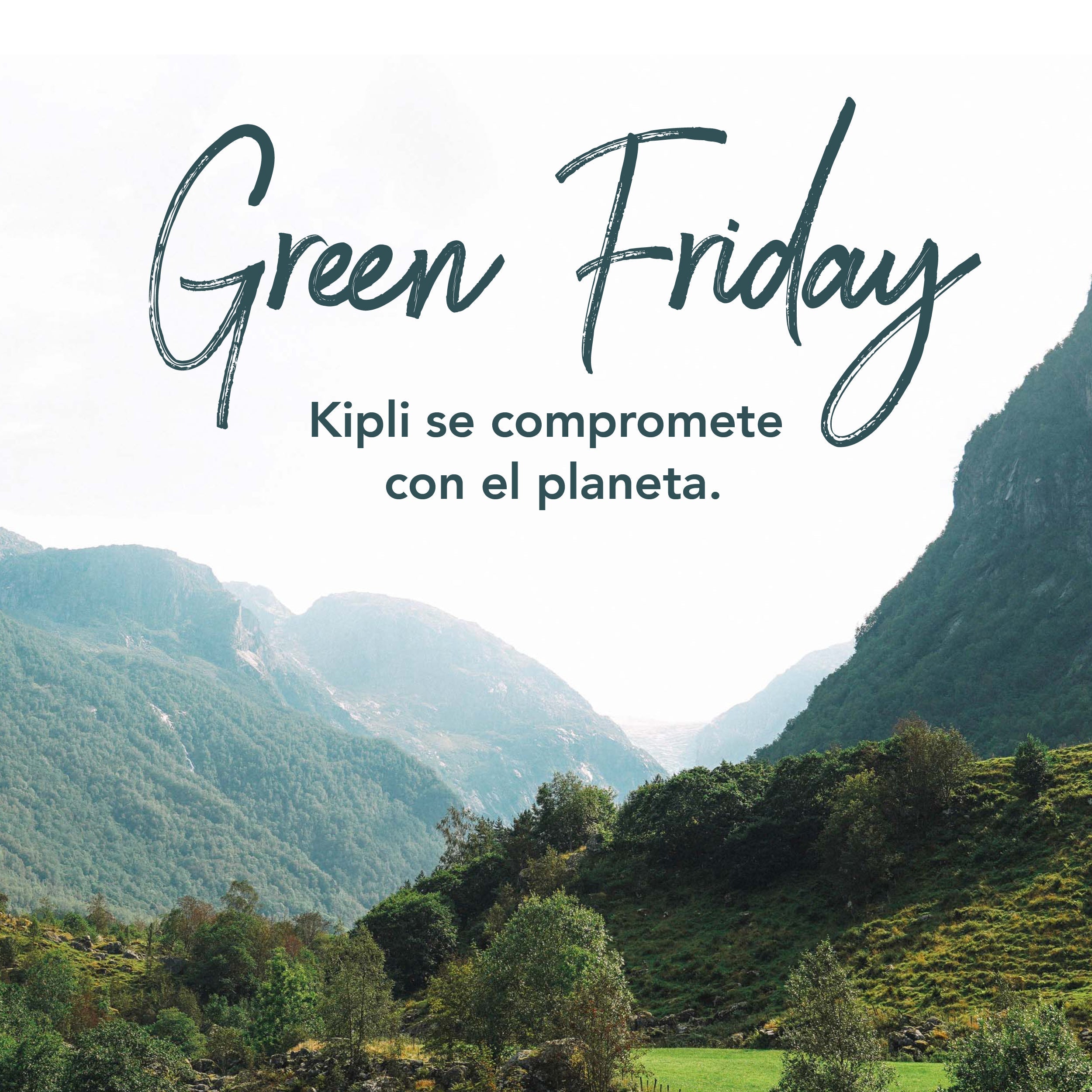 Green Friday: hacia un consumo responsable