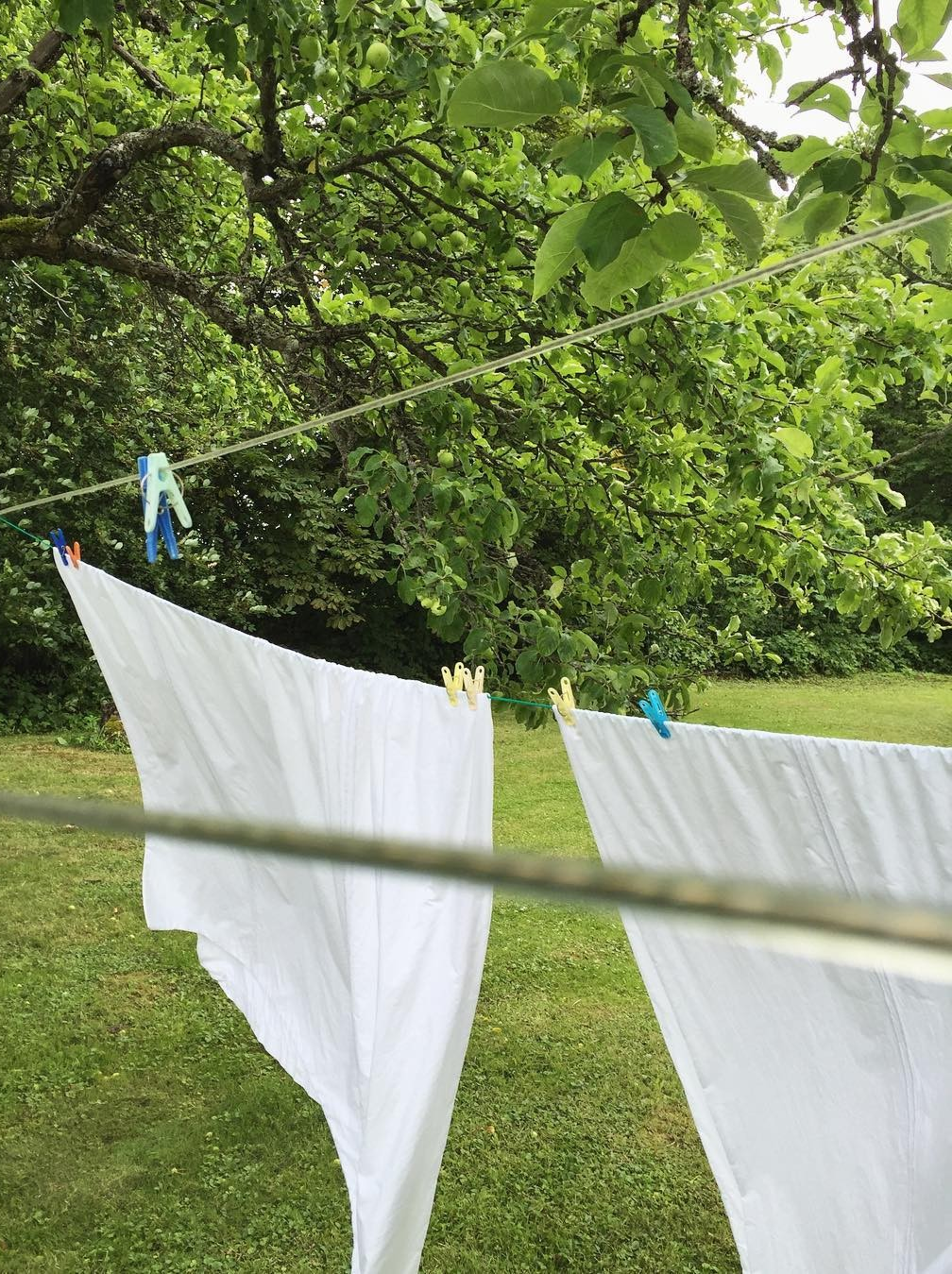 Lenzuola bianche di cotone che si asciugano all’aria aperta in un giardino rigoglioso, a illustrare un metodo naturale ed ecologico per la cura della biancheria per la casa.