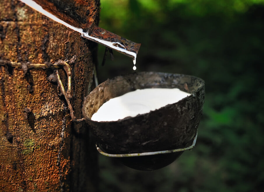 El colchón de látex natural: las ventajas e inconvenientes
