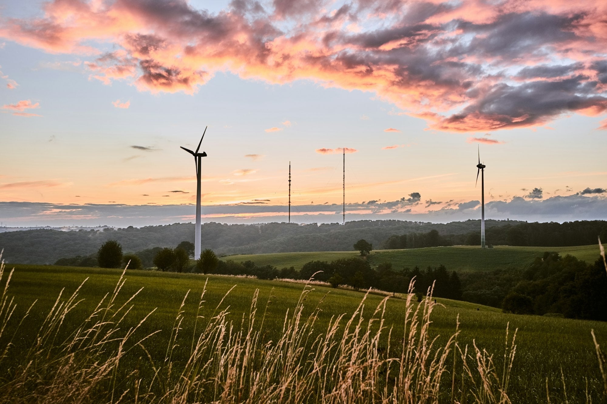 Perché la sobrietà è la soluzione ecologica principale?