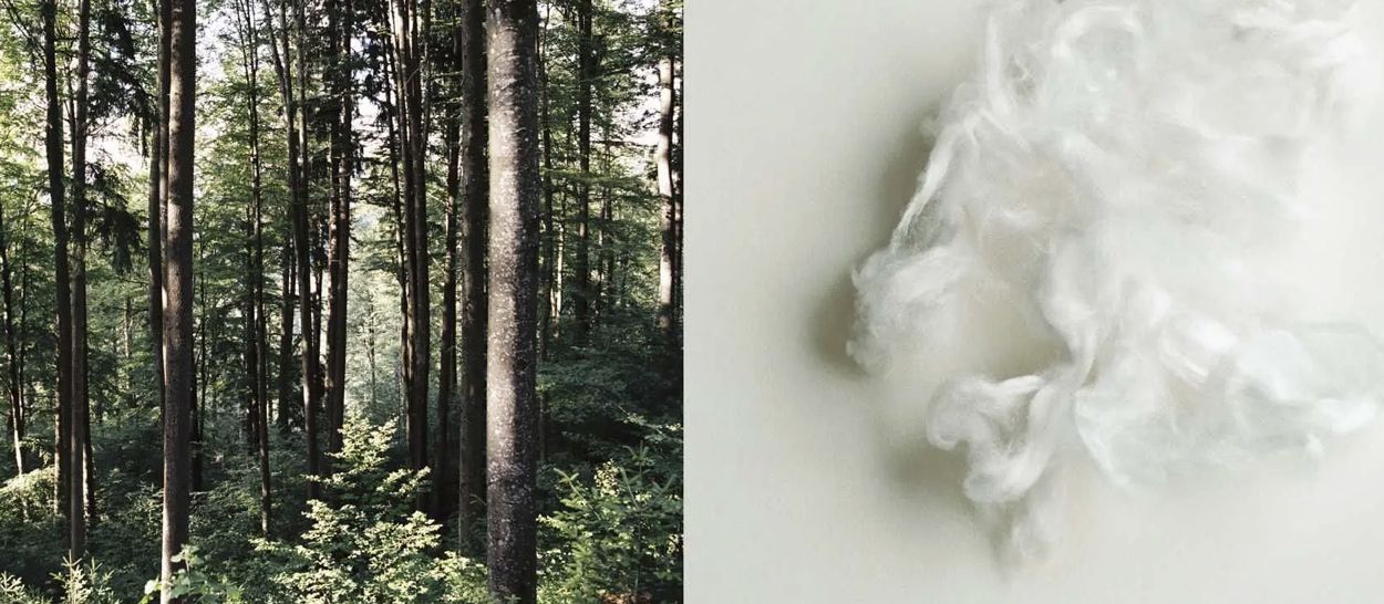 Il Tencel: quella fibra naturale poco conosciuta presente nel vostro piumone