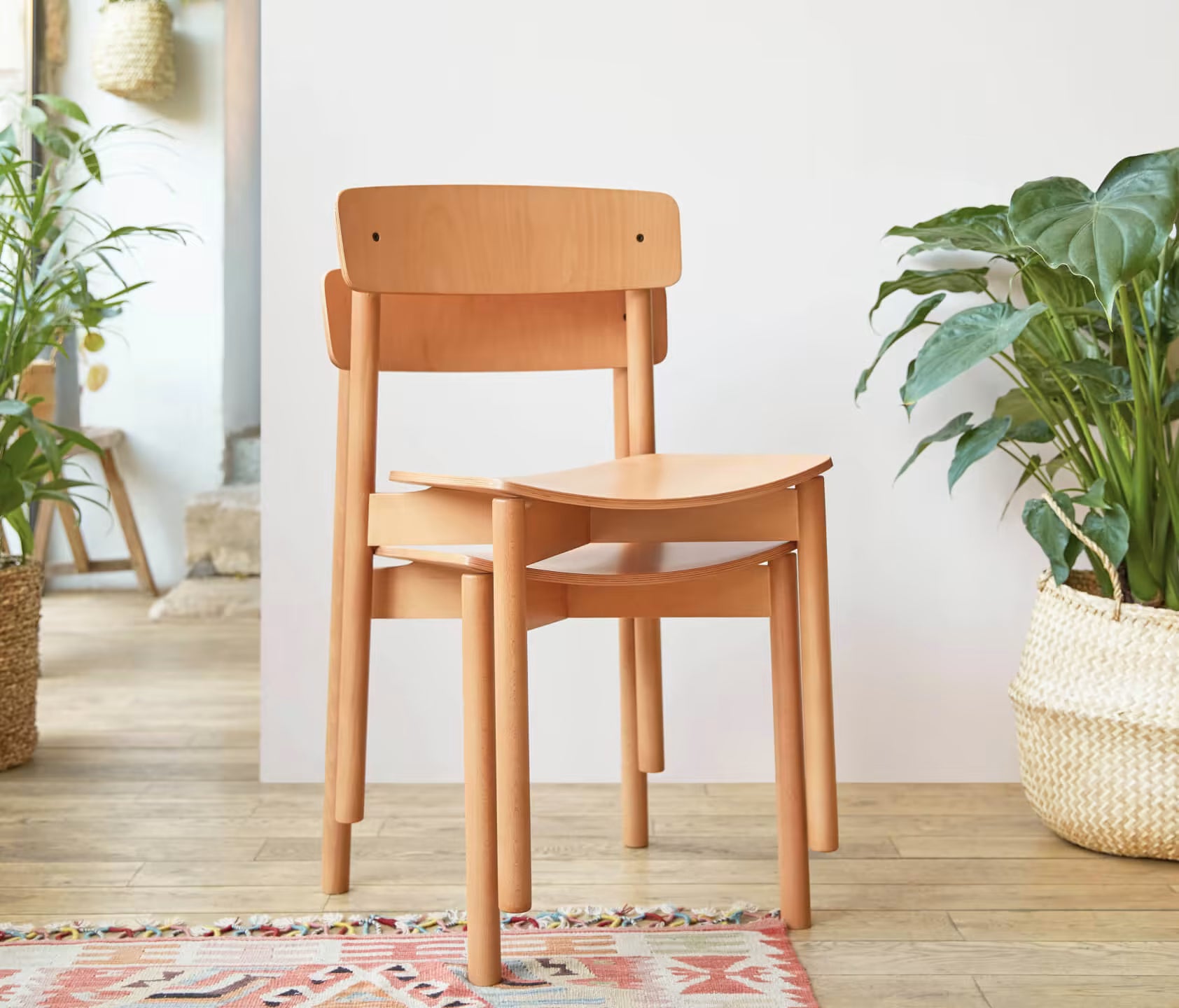 Sedia in legno massello MAIA (set da 2)