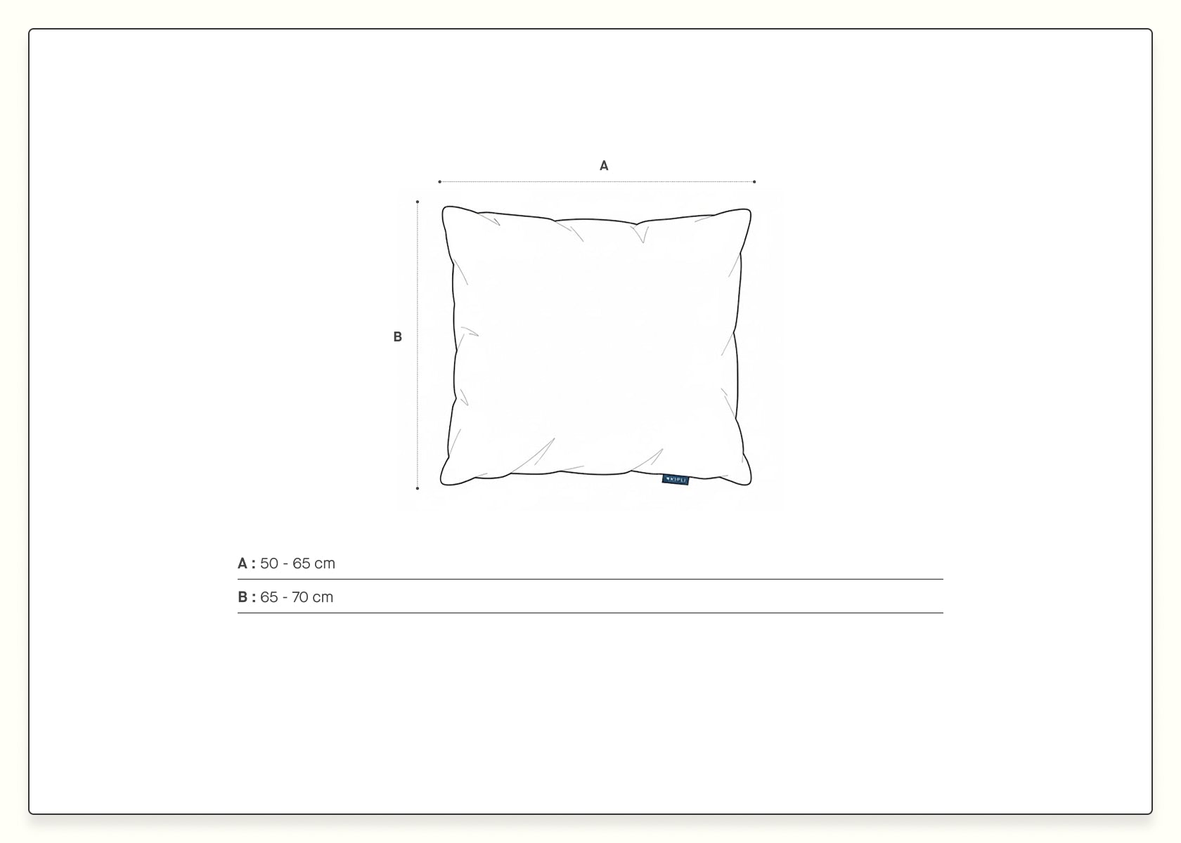 Oreiller en plumes et duvet
