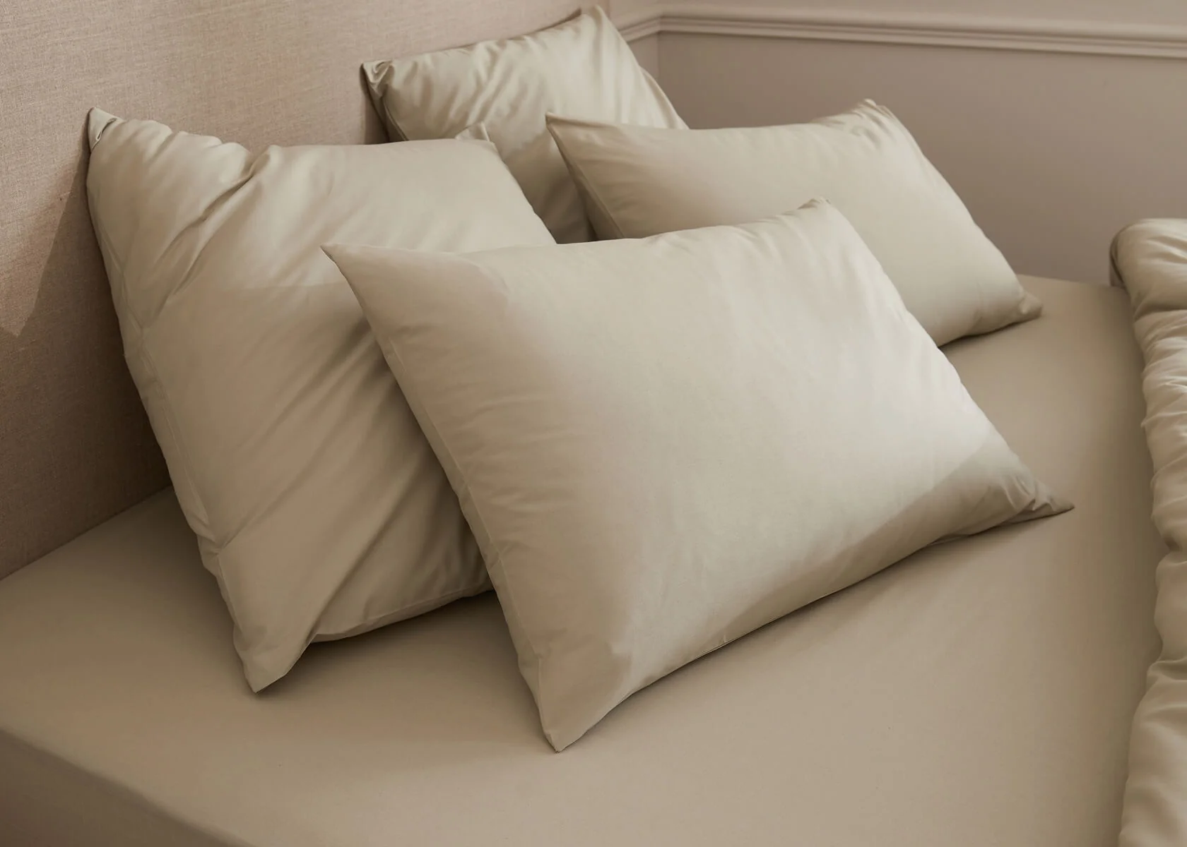 Federa in cotone bio per cuscino