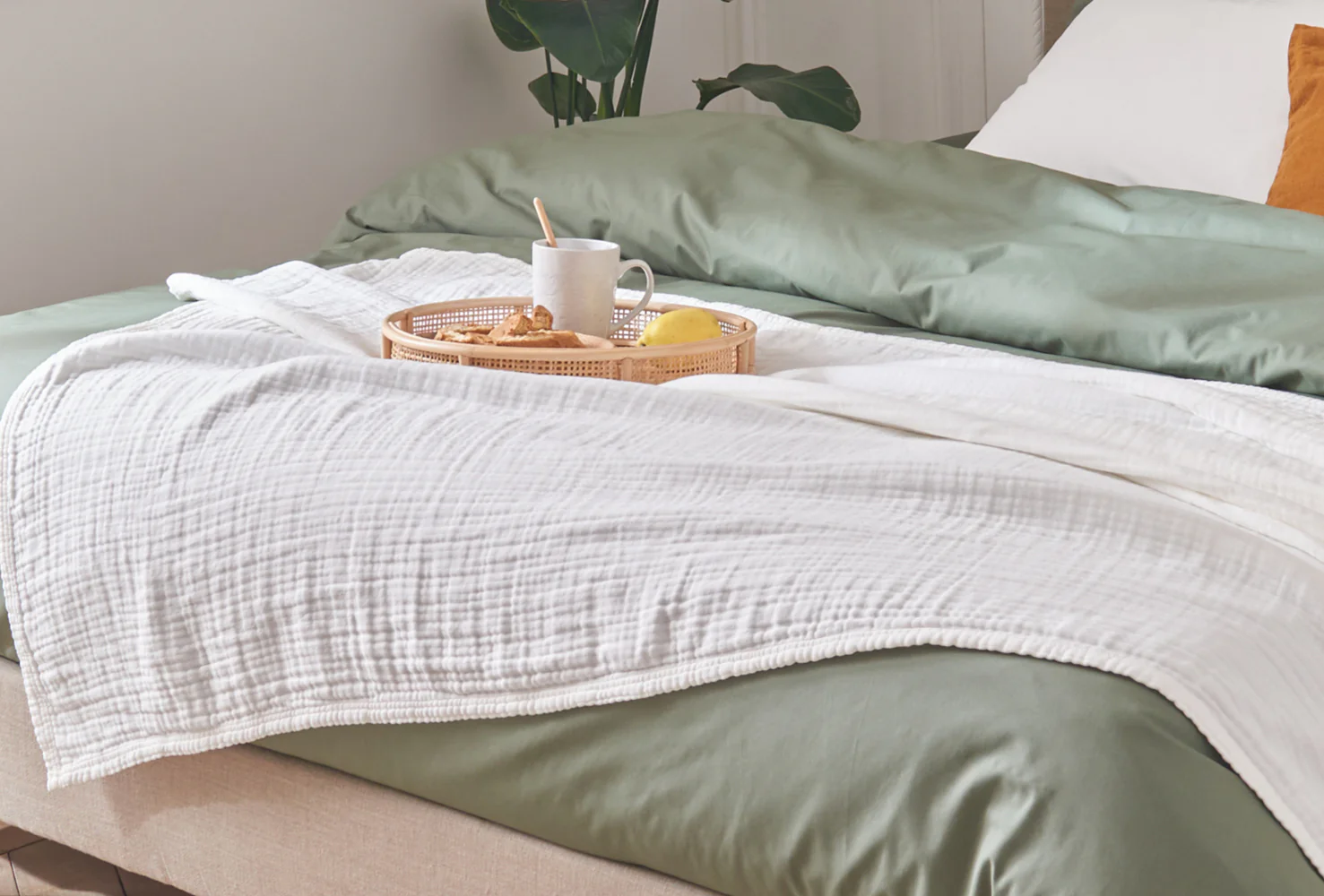 Plaid in cotone biologico TIO