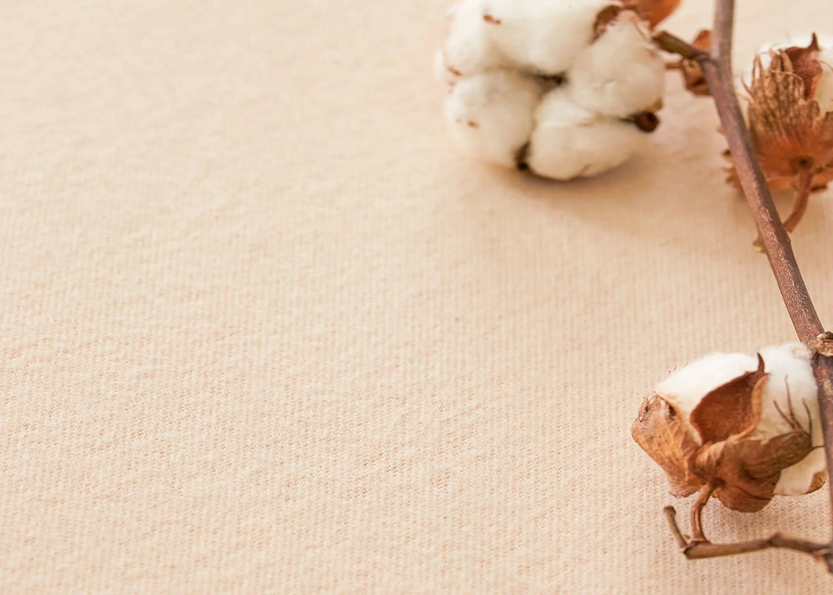 Coprimaterasso in cotone bio