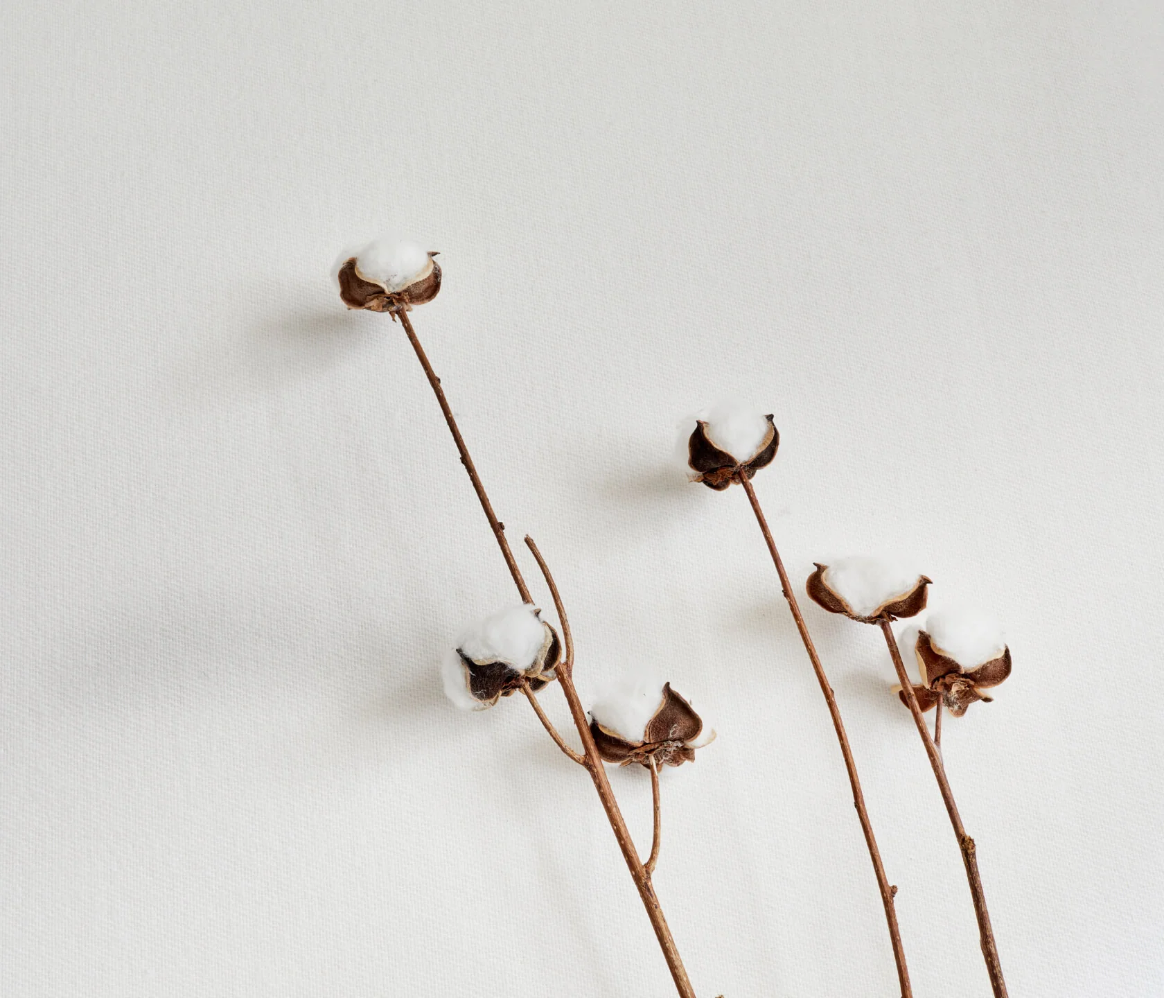 Coprimaterasso impermeabile