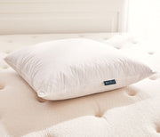 Cuscino in piuma e piumino